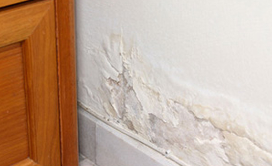 how to repair crumbling plaster walls